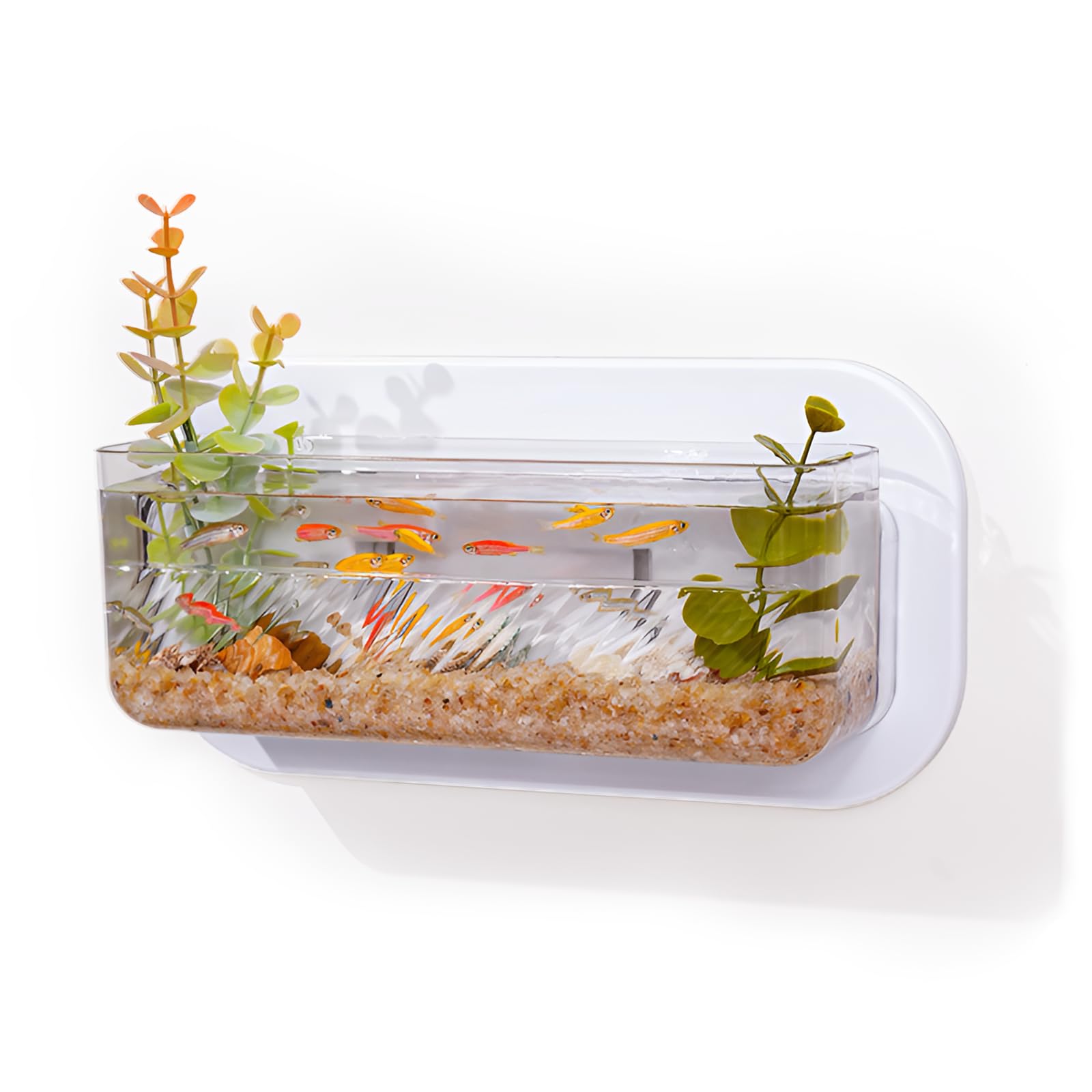 Qpets® Wall Hanging Fish Bowl Qpets® Wall Hanging Fish Bowl